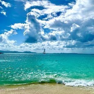 Meet your Posher, Anne